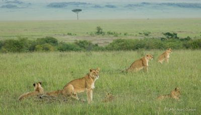 Michael Spain, 2015 Kenya Photography Tour II, photograph 4