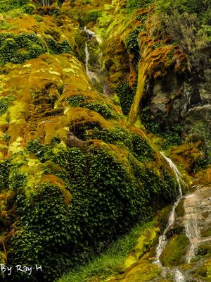 Fairy falls along the road to Lago del Desierto, Argentina