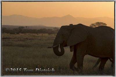 Tom Dietrich, 2015 Kenya Photography Tour I, photograph 1