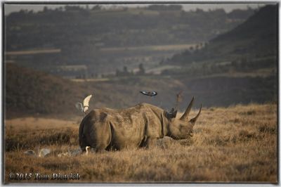 Tom Dietrich, 2015 Kenya Photography Tour I, photograph 4