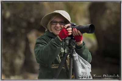 Tom Dietrich, 2014 Alaska Brown Bear Photography Tour, photograph 1