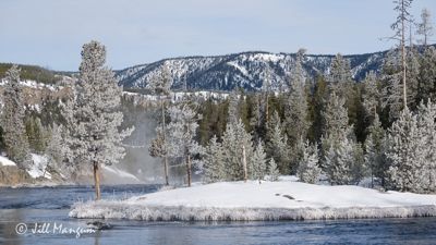 Jill Mangum, 2015 Winter in Yellowstone Photography Tour, photograph 1