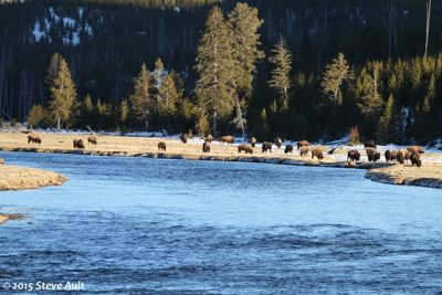 Taken along the Madison River just before dusk. The light played beautifully off of the river.