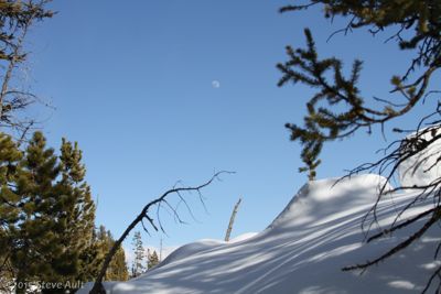 Taken near one of the Grand Canyon of Yellowstone overlooks.
