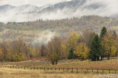 Sue Wolfe, 2014 Romania Autumn Photography Tour II, photograph 2
