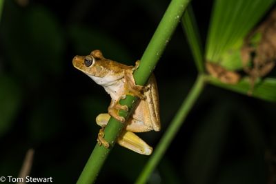 Just hanging around
