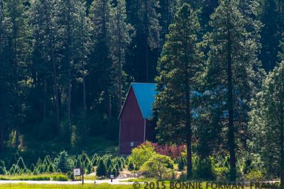Bonnie Forman-Franco, 2015 Palouse Landscape Photography Tour, photograph 1
