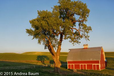 Palouse