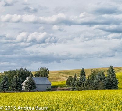 Palouse