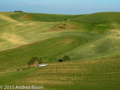 Palouse