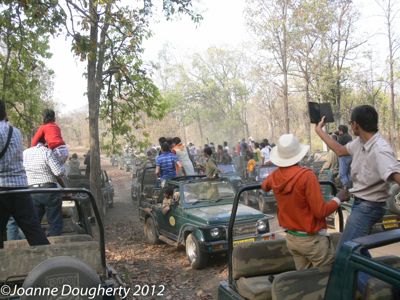 The crowds trying to get a shot of that elusive tiger!