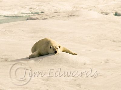 Jim Edwards, 2015 Svalbard Photography Tour, photograph 1