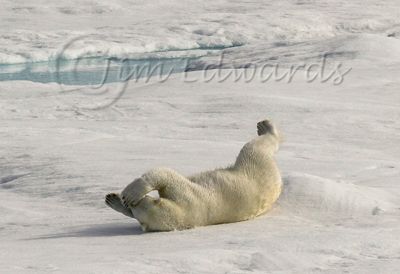 Jim Edwards, 2015 Svalbard Photography Tour, photograph 3