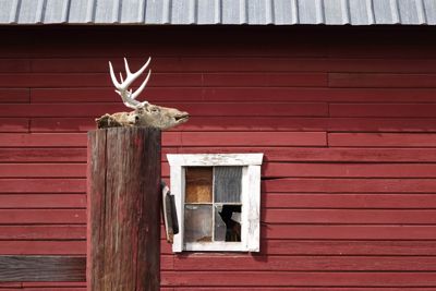 Beth Jones, 2015 Palouse Landscape Photography Tour, photograph 3