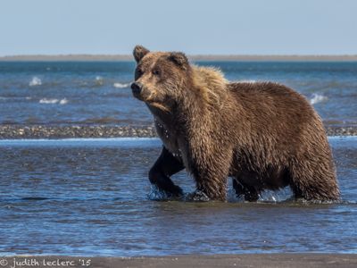 Crimp at the beach…