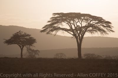 Allan Coffey, 2015 Kenya Photography Tour II, photograph 3