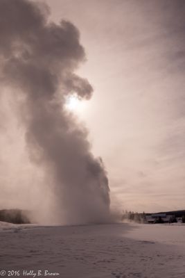 Holly Brown, 2016 Winter in Yellowstone Photography Tour II, photograph 3