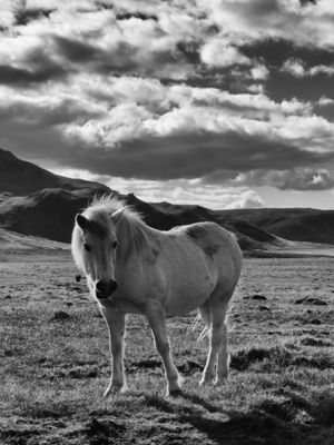 Jim Heywood, 2016 Iceland Landscape Photography Tour II, photograph 1