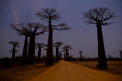 sally radke, 2016 Ultimate Madagascar Photography Tour I, photograph 1