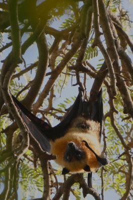 sally radke, 2016 Ultimate Madagascar Photography Tour I, photograph 2