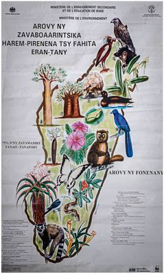 Map/poster of this fascinating and diverse country. It was hanging on the wall of a school in the Morondava area.