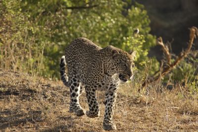 Lauren Lotter, 2017 Kenya Photography Tour, photograph 1