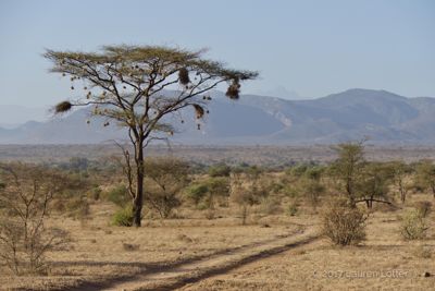 Lauren Lotter, 2017 Kenya Photography Tour, photograph 3