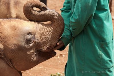 Lauren Lotter, 2017 Kenya Photography Tour, photograph 4