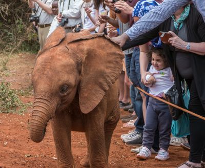 Laura Hartwell, 2017 Kenya Photography Tour, photograph 2