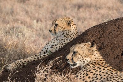 Laura Hartwell, 2017 Kenya Photography Tour, photograph 3