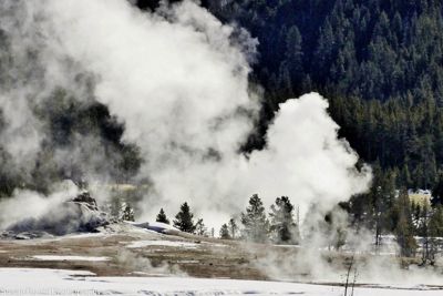 Susan L. Roehl, 2017 Winter in Yellowstone Photography Tour, photograph 2