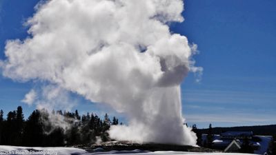 Susan L. Roehl, 2017 Winter in Yellowstone Photography Tour, photograph 4