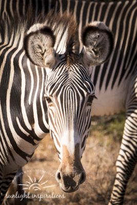 Christine Crosby, 2017 Kenya Photography Tour, photograph 2