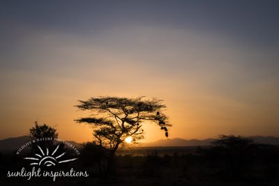 Christine Crosby, 2017 Kenya Photography Tour, photograph 3