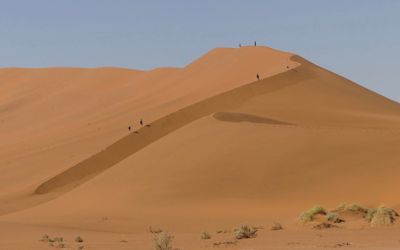 Faye Stone, 2017 Namibia, Botswana, and Zambia Photography Tour, photograph 3