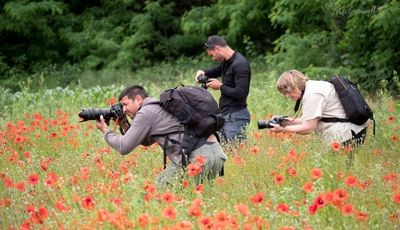Miro, Luka and Jeanne shooting the Poppies