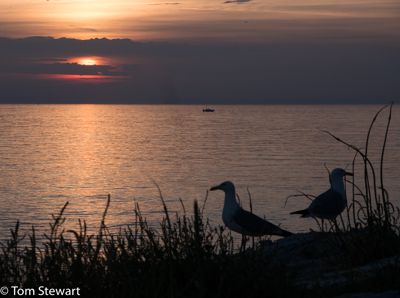 Watching the sunset with friends in Rovinj