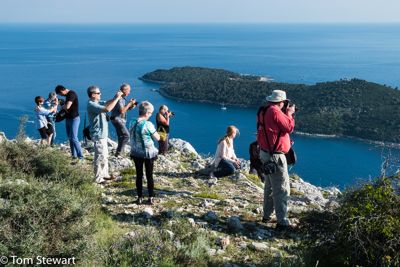 Looking down on Dubrovnik