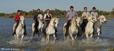 Michelle M. Duggan, 2017 Camargue and Provence France Photography Tour II, photograph 1