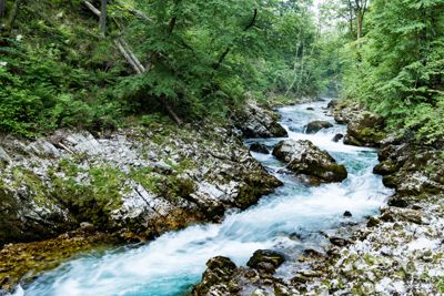 william phillips, 2017 Slovenia Photography Tour, photograph 1