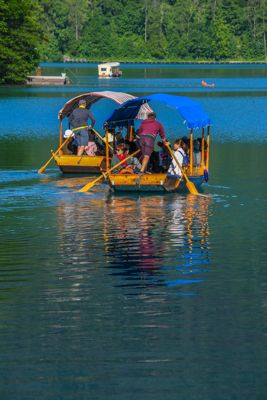 Lake Bled transit