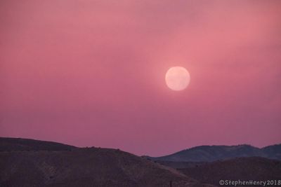 Morning Moon over Bosque