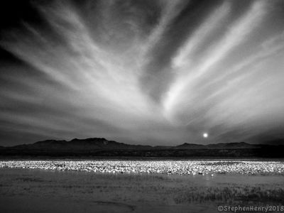 Moonset, Bosque, New Mexico (an homage to similar famous photo)