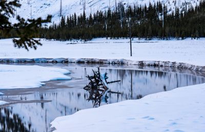 william phillips, 2018 Winter in Yellowstone Photography Tour I, photograph 2