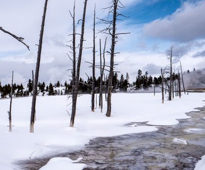 william phillips, 2018 Winter in Yellowstone Photography Tour I, photograph 4