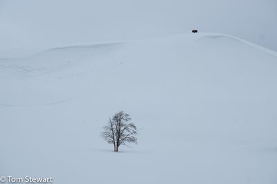 Minimalism.