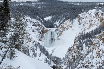 Lower Falls