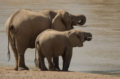 Christine Crosby, 2012 Kenya Photography Tour, photograph 2