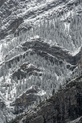 Nick Fotheringham, 2018 Canadian Rockies Fall Photography Tour, photograph 1