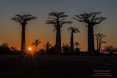 Claude R. Lecours, 2018 Ultimate Madagascar Photography Tour, photograph 2